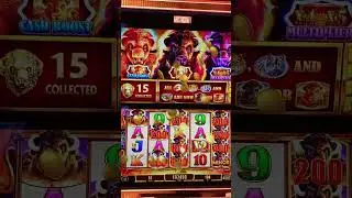 Unbelievable insane 4100X Buffalo Gold Cash Collection Bonus Jackpot with only $1 minimum bet.