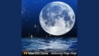 Starlight Dream