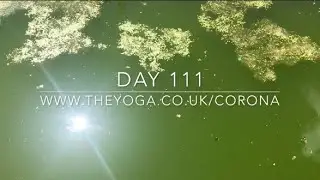 The Corona Yoga Home Practice Challenge: Day 111 Guided