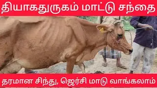 தியாகதுருகம் மாட்டு சந்தை ஒரு பார்வை.