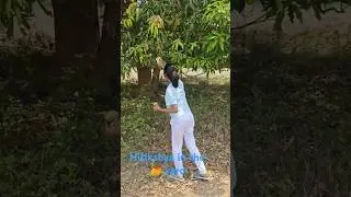 a typical odisha mango yard hitikshya and her causions. #mango #odisha #jungle  #mangoyard #explore