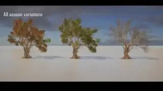 Trees CTI - Rocky Hills Environment
