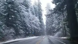 California us101 driving through Redwoods