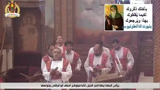 Saint Mina Dubai - Jebel Ali -2026 - Jan - 30