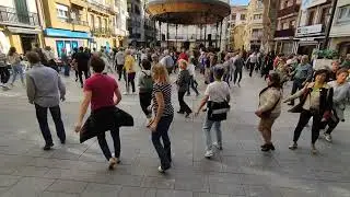 axuri beltza