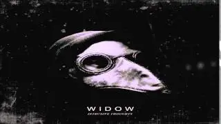 Darke Complex (Widow) - Inverterbrate (original version // 2012)