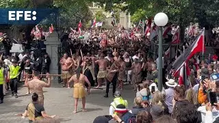 Más de 42.000 personas participan en una protesta histórica en Nuevza Zelanda por los maoríes