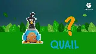 Learn The ABCs: Q is for Quail
