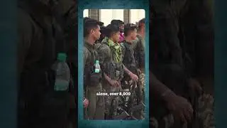 Is India on course to become Naxal-free? Govt stats reveal massive transformation