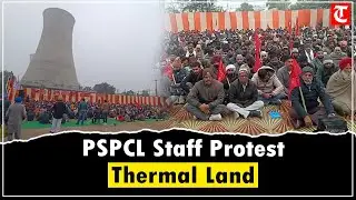 Bathinda: PSPCL Employees, Engineers Protest Sale of Thermal Plant Land Outside Power Station