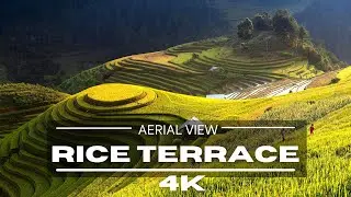 Cinematic Rice Terrace 4K by Drone