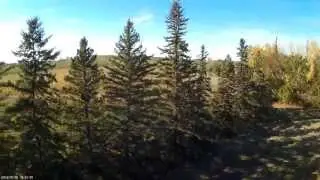 simplecopter tricopter fpv maiden flight