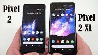 Pixel 2 vs Pixel 2 XL: Which Should You Buy After Displaygate?