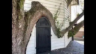 Hobbit door tree house!! Miami tree house builders.