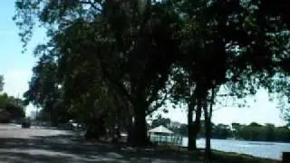 Drunk Driver At Lodi Lake :o