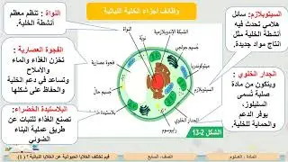 الصف السابع   العلوم   فيم تختلف الخلايا الحيوانية عن الخلايا النباتية؟ 1