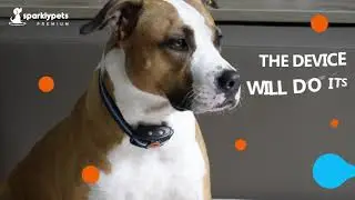 Upgraded Smart Rechargeable Humane Bark Collar &ndash; Anti Barking Dog Collars with Beep Vibration