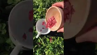 Making natural paint with dry red leaves in the garden #hanselah #naturalpaint #cottagecoreart