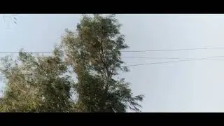 WAPDA ke bogus permitte (Hathi ky danth Khany ky aor Dikhany ky aor )