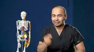 ҚАЧОН ВА НИМА УЧУН МАШҚ ҚИЛИШ КЕРАК? l МАШҚНИНГ ФОЙДАЛИ ТАРАФЛАРИ