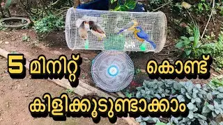 ഏറ്റവും  സിംപിളായ ഒരു കിളിക്കൂട് | Simple Bird Cage With Fan Grill