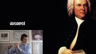 MENUET - Oskar Marijan (Flute) & v4m.orchestra