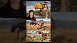 TERROR BIRDS
