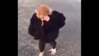 Monkey Drip