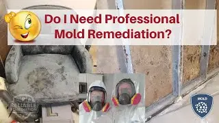 Do I Need Professional Mold Remediation?