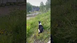 #me at 10pm Norway summer time 😊😃🤣