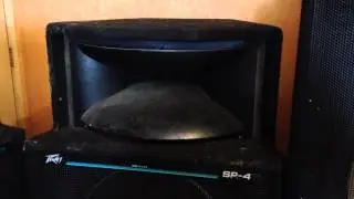DJ System for sale Peavey