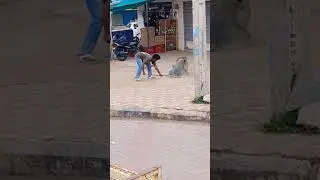 Public place Dog Catching public Seafty 🙏🐕||please Subscribe #ytshorts #youtube #viral#🙏🐶🐕🐶🙏