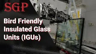 Bird Friendly Insulated Glass Units (IGUs) | Security Glass Products