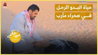 كيف يعيش البدو الرحل وسط الصحراء في مأرب؟