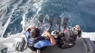 Researching the Reef: fish and coral of the Caribbean