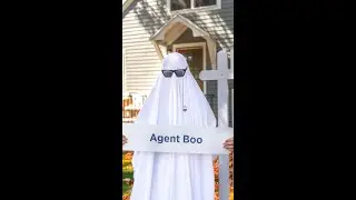 Agent Boo