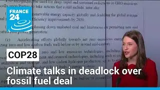 COP28 talks enter last day with no deal in sight on fossil fuels &bull; FRANCE 24 English