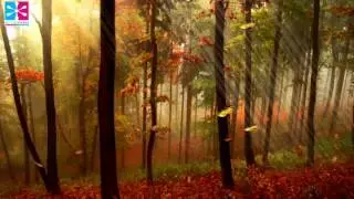 Sax Tune for Invigorating