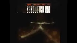 Sasquatch - Bare my Soul