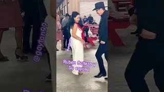 Pulga de Alamo Texas #dance #spotifyclone #viral #youtubeshorts #humor #greenscreen #chihuahua