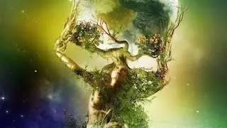 2023 Soul Mission Avatar Universal Soul Activation Codes 12:11 & 12:12