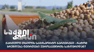 ქართული თხილის საექსპორტო ბარიერები - რატომ ბრუნდება ტვირთები ევროკავშირის საზღვრიდან?
