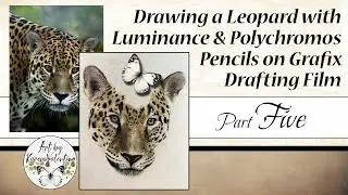 Drawing a Leopard with Colored Pencils on Drafting Film