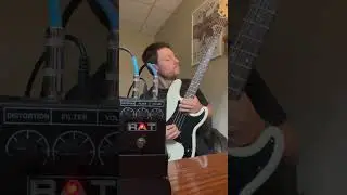 ProCo Rat Pedal on Bass Demo #bassguitar