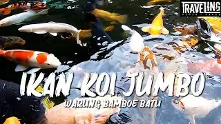 Koleksi Ikan Koi di Waroeng Bamboe Batu Malang