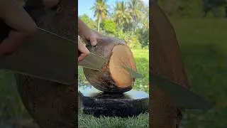 Not AI, This Is Real Footage