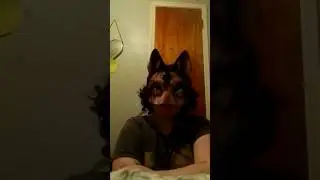 collab? :p GUYS MY STEPDAD CUT MY MASK 😭😭😭😭 #therianthropy #therian #notafurry