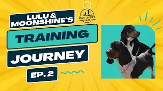 Partners Dog Training Journey | Lulu & Moonshine | Ep. 2