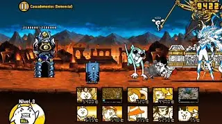 La forma final del gato defensor adoctrinado 🐱