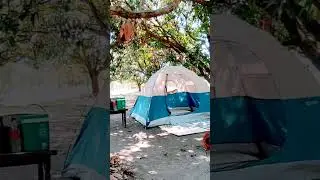 Lovely Morning in the mango farm #camping